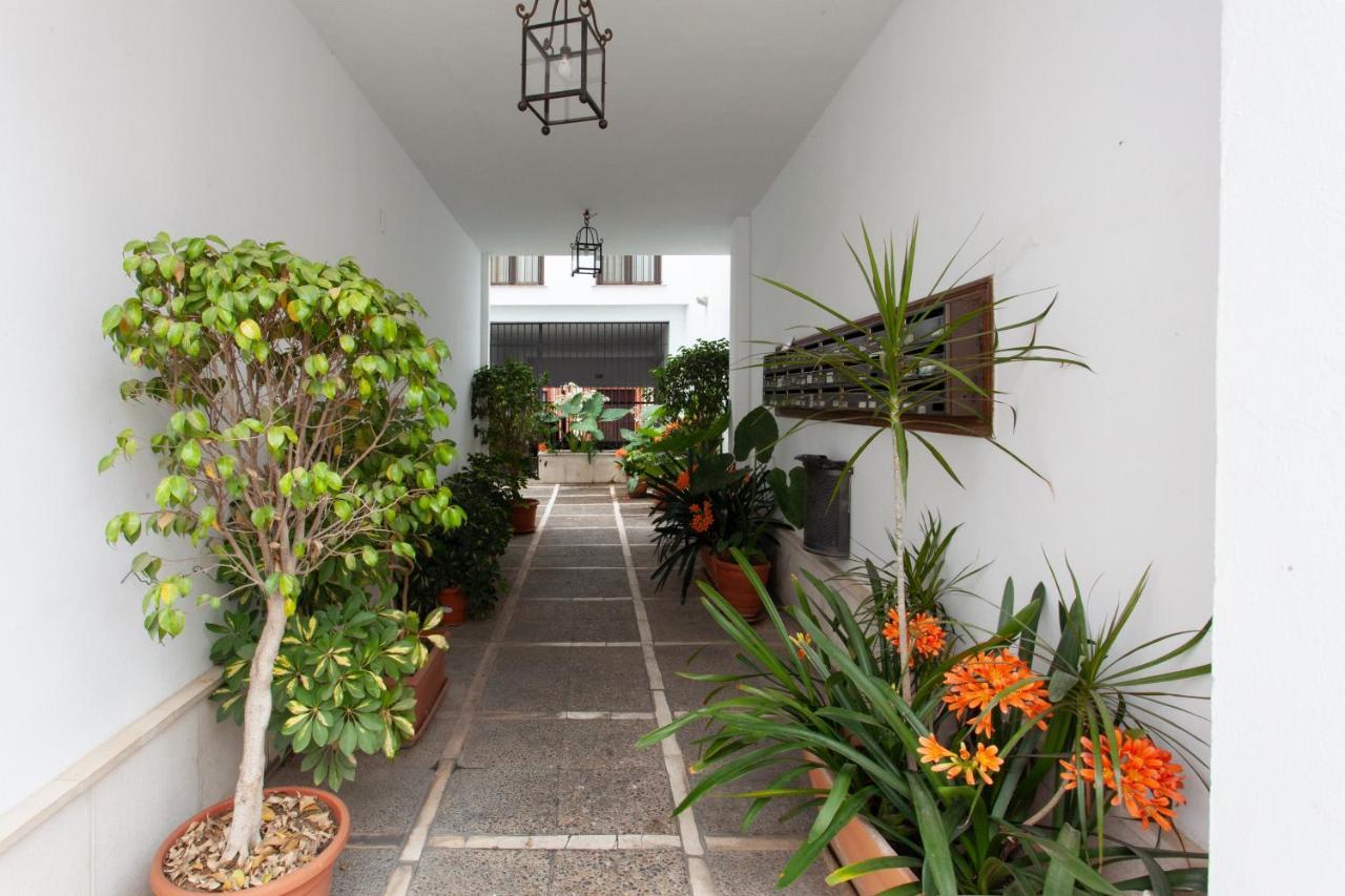 Bed&Breakfast Seville Center Extérieur photo
